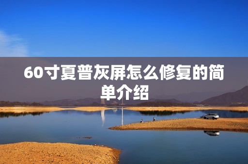 60寸夏普灰屏怎么修复的简单介绍