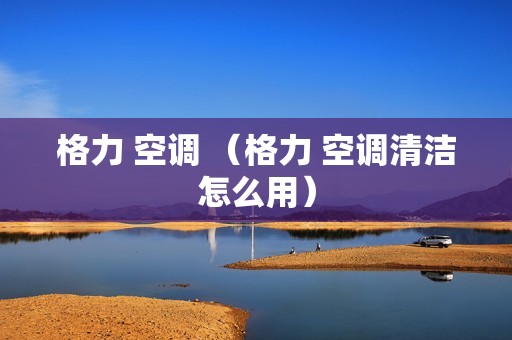 格力 空调 （格力 空调清洁怎么用）