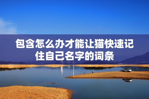 包含怎么办才能让猫快速记住自己名字的词条