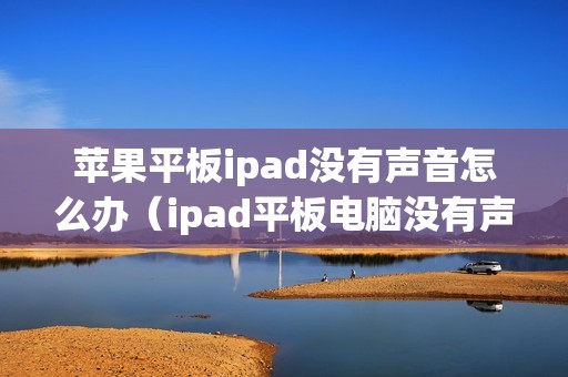 苹果平板ipad没有声音怎么办（ipad平板电脑没有声音怎么办）