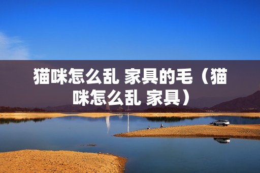 猫咪怎么乱 家具的毛（猫咪怎么乱 家具）