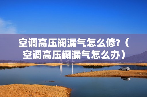空调高压阀漏气怎么修?（空调高压阀漏气怎么办）