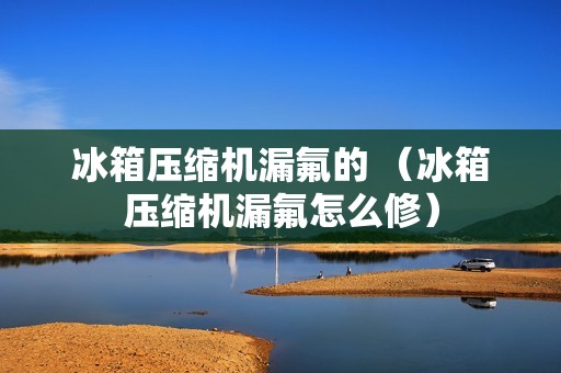 冰箱压缩机漏氟的 （冰箱压缩机漏氟怎么修）
