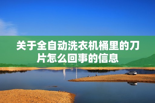 关于全自动洗衣机桶里的刀片怎么回事的信息