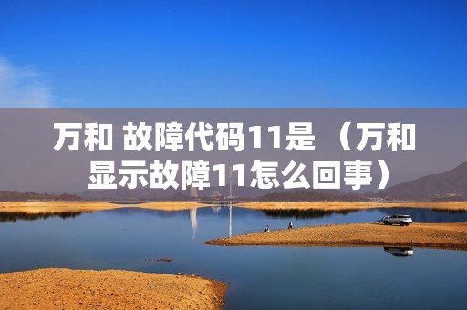 万和 故障代码11是 （万和 显示故障11怎么回事）