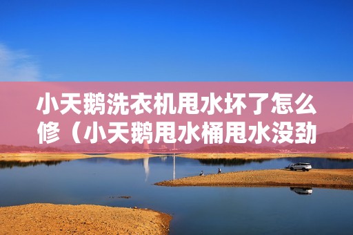 小天鹅洗衣机甩水坏了怎么修（小天鹅甩水桶甩水没劲怎么办）