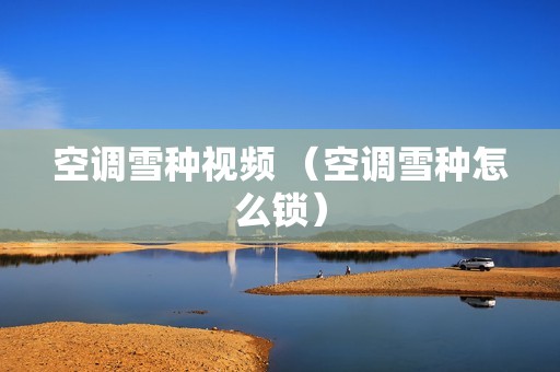 空调雪种视频 （空调雪种怎么锁）