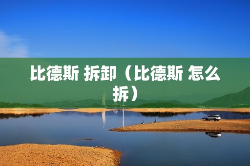比德斯 拆卸（比德斯 怎么拆）