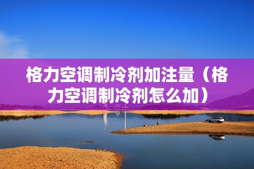 格力空调制冷剂加注量（格力空调制冷剂怎么加）