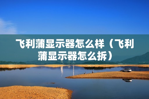 飞利蒲显示器怎么样（飞利蒲显示器怎么拆）