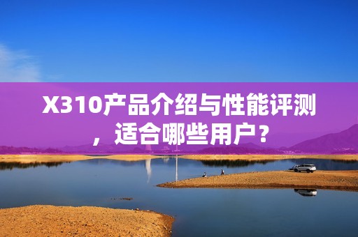 X310产品介绍与性能评测，适合哪些用户？